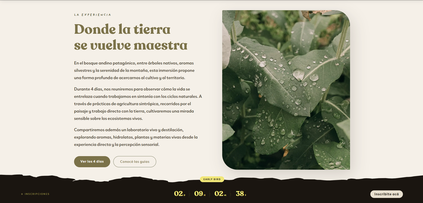 Sección 'La experiencia', bajada conceptual del retiro con foto de detalle